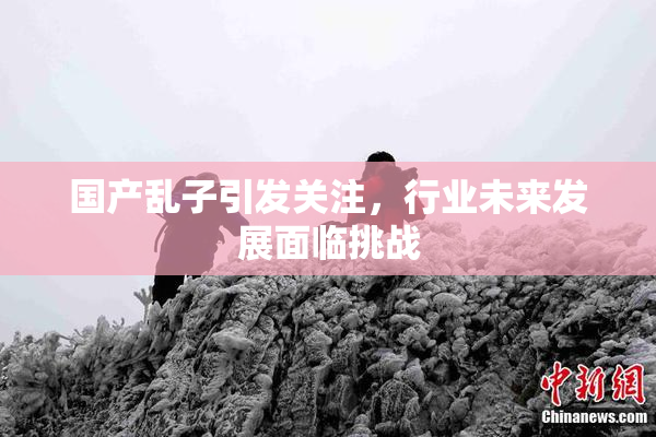 国产乱子引发关注，行业未来发展面临挑战