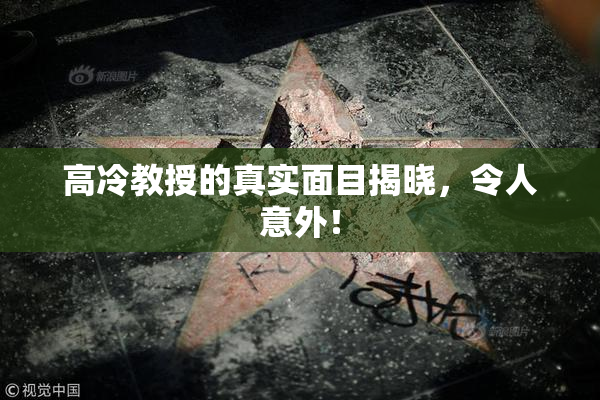 高冷教授的真实面目揭晓，令人意外！