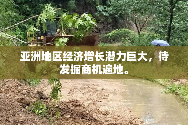亚洲地区经济增长潜力巨大，待发掘商机遍地。