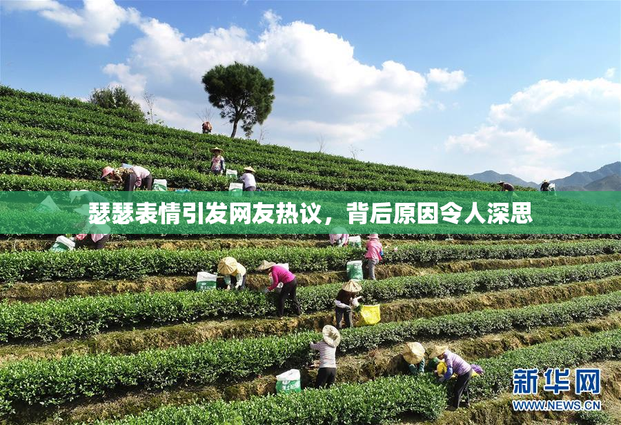 瑟瑟表情引发网友热议，背后原因令人深思