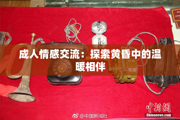 成人情感交流：探索黄昏中的温暖相伴
