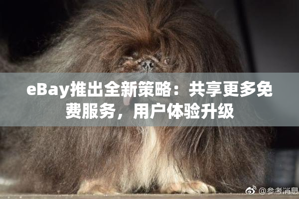 eBay推出全新策略：共享更多免费服务，用户体验升级