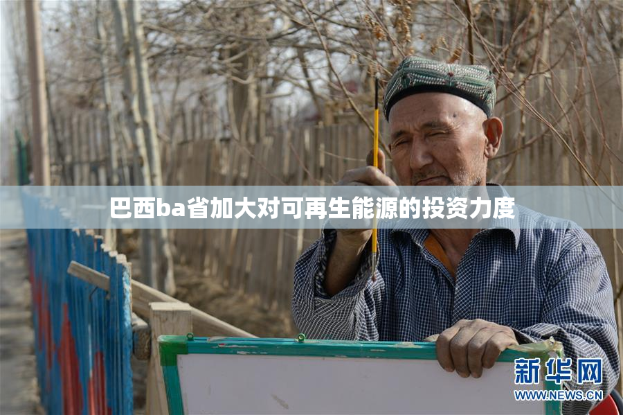 巴西ba省加大对可再生能源的投资力度