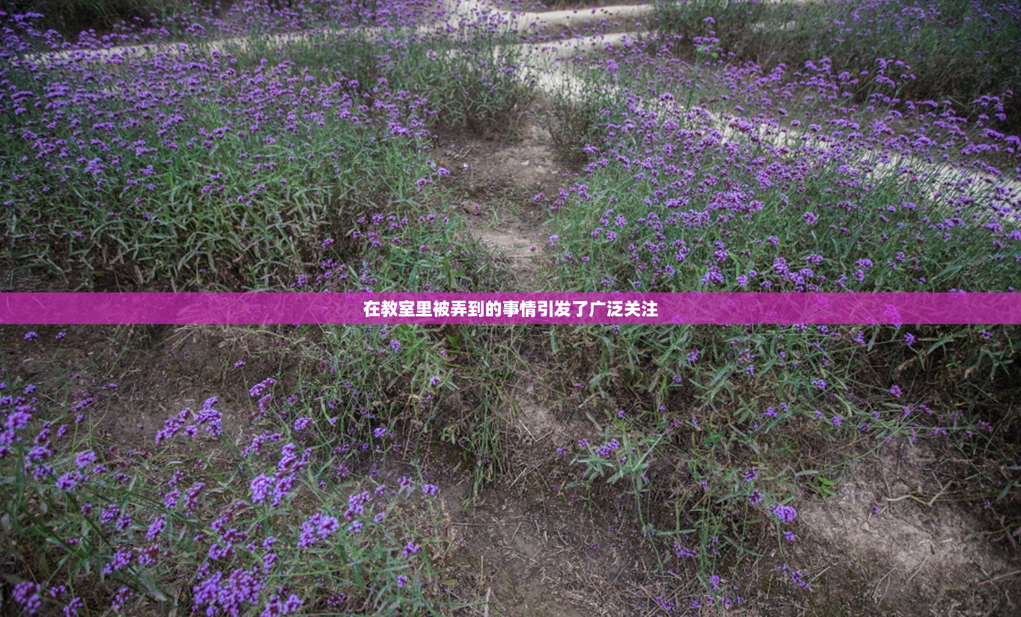 在教室里被弄到的事情引发了广泛关注