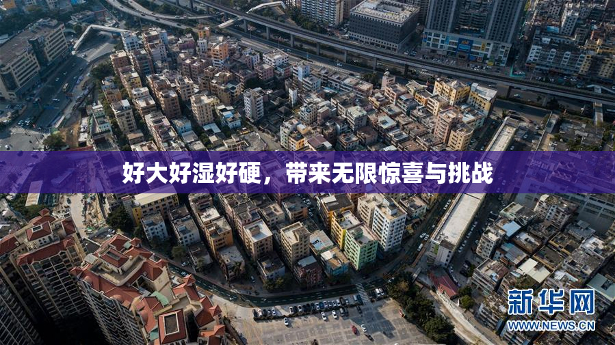 好大好湿好硬，带来无限惊喜与挑战
