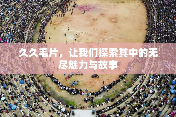 久久毛片，让我们探索其中的无尽魅力与故事
