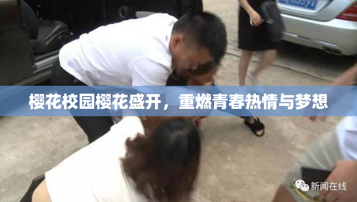 樱花校园樱花盛开，重燃青春热情与梦想