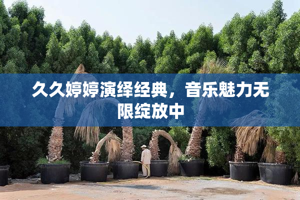 久久婷婷演绎经典，音乐魅力无限绽放中