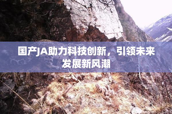 国产JA助力科技创新，引领未来发展新风潮