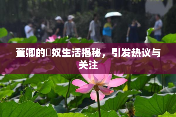 董卿的婬奴生活揭秘，引发热议与关注