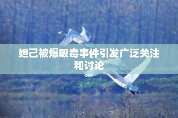 妲己被爆吸毒事件引发广泛关注和讨论