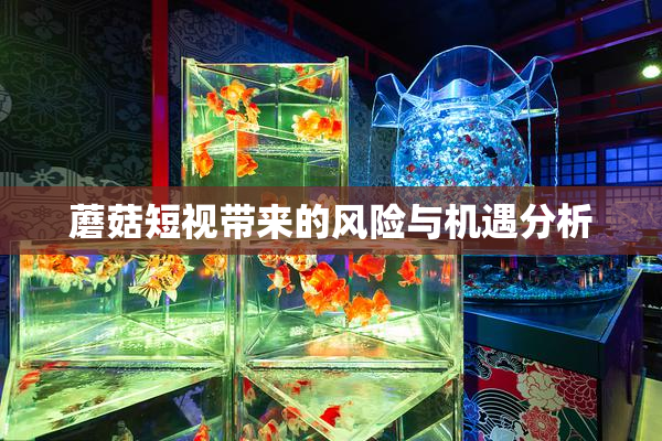 蘑菇短视带来的风险与机遇分析