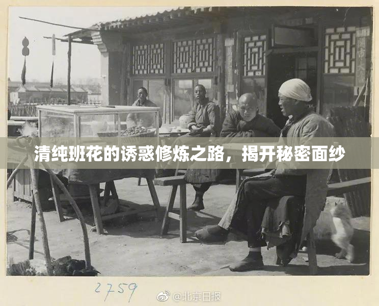 清纯班花的诱惑修炼之路，揭开秘密面纱