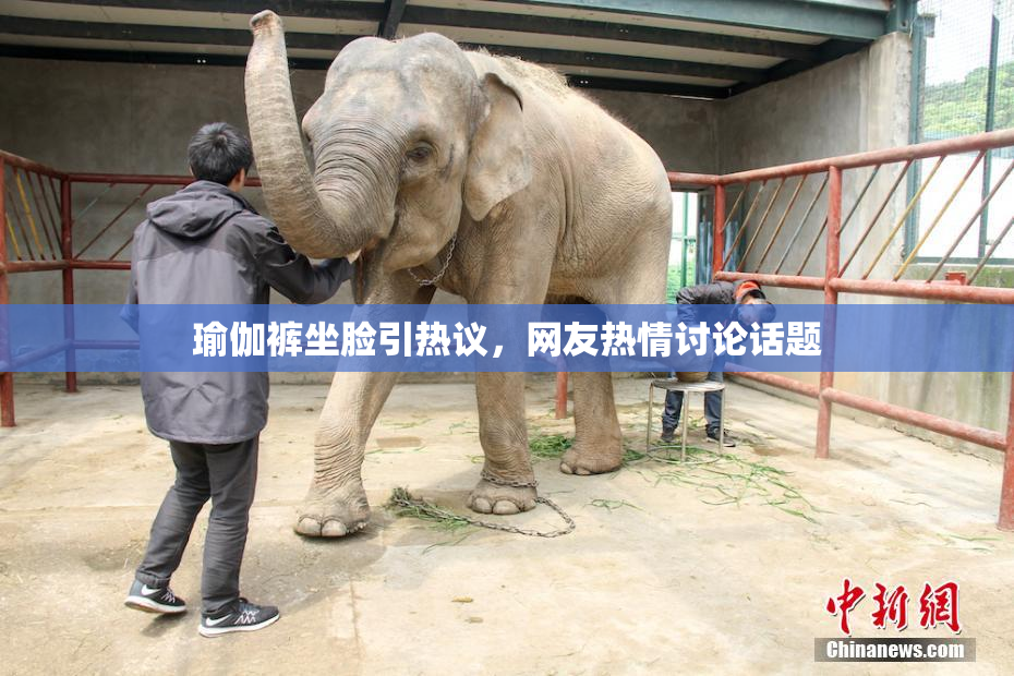 瑜伽裤坐脸引热议，网友热情讨论话题