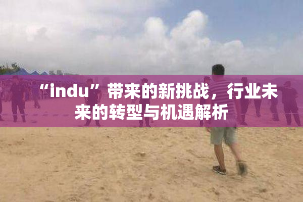 “indu”带来的新挑战，行业未来的转型与机遇解析