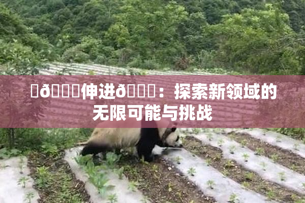 ‌🍌伸进🍑：探索新领域的无限可能与挑战
