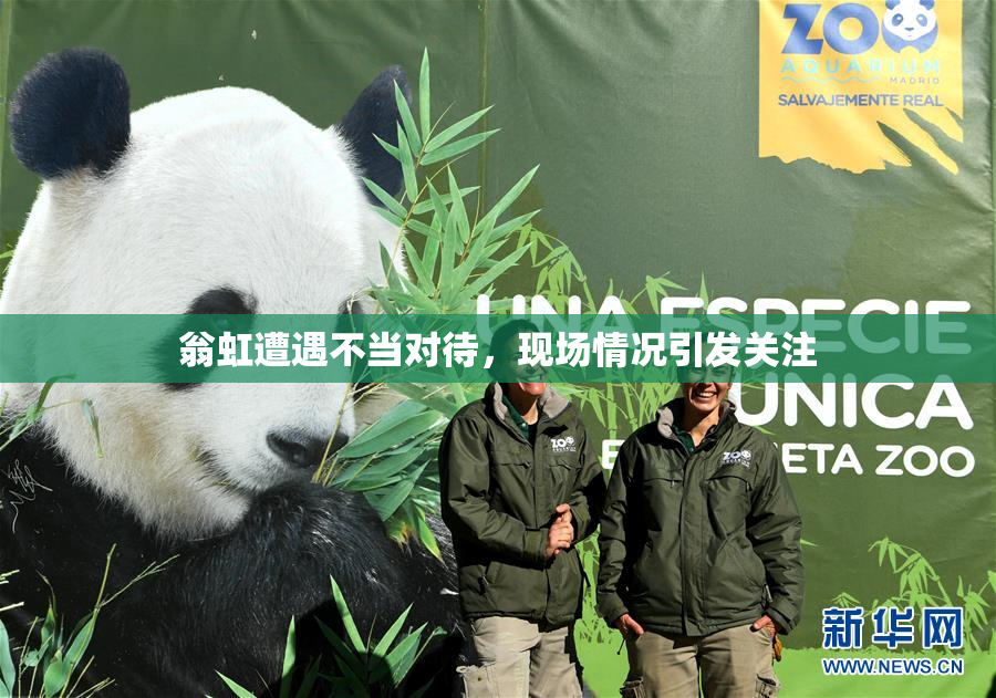 翁虹遭遇不当对待，现场情况引发关注