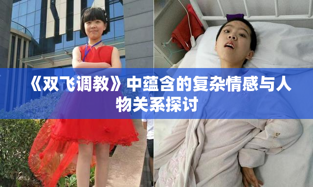 《双飞调教》中蕴含的复杂情感与人物关系探讨