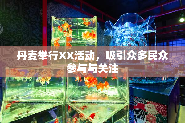 丹麦举行XX活动，吸引众多民众参与与关注