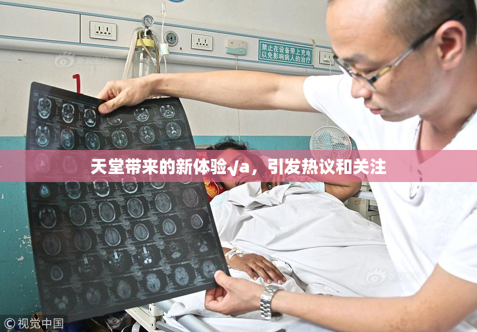 天堂带来的新体验√a，引发热议和关注
