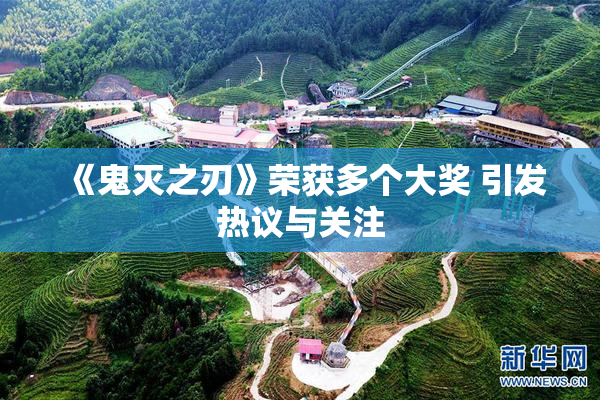 《鬼灭之刃》荣获多个大奖 引发热议与关注