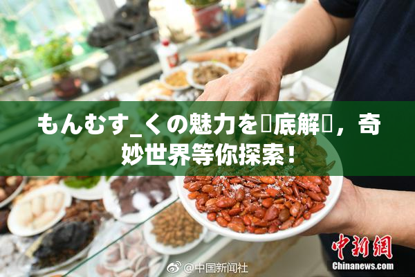 もんむす_くの魅力を徹底解説，奇妙世界等你探索！