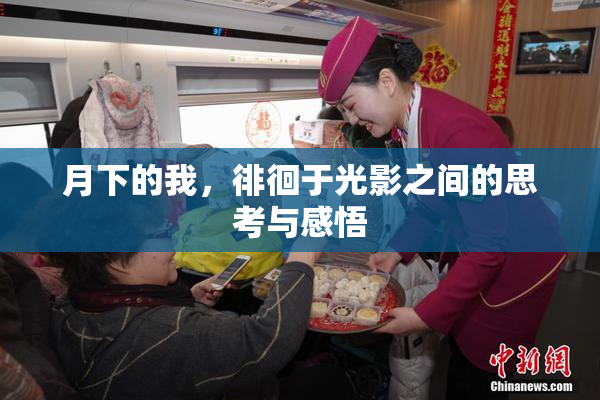 月下的我，徘徊于光影之间的思考与感悟