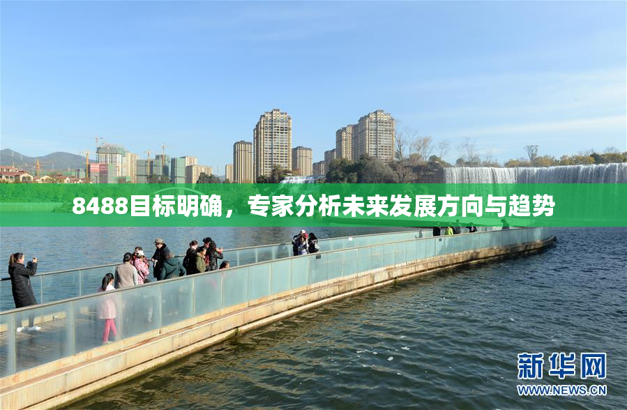 8488目标明确，专家分析未来发展方向与趋势