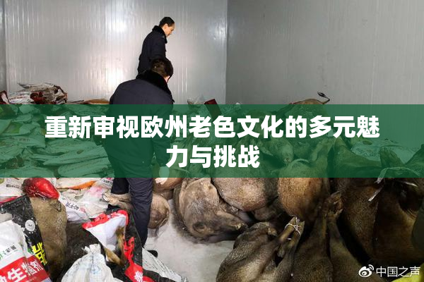 重新审视欧州老色文化的多元魅力与挑战