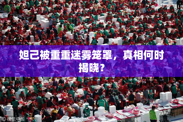 妲己被重重迷雾笼罩，真相何时揭晓？