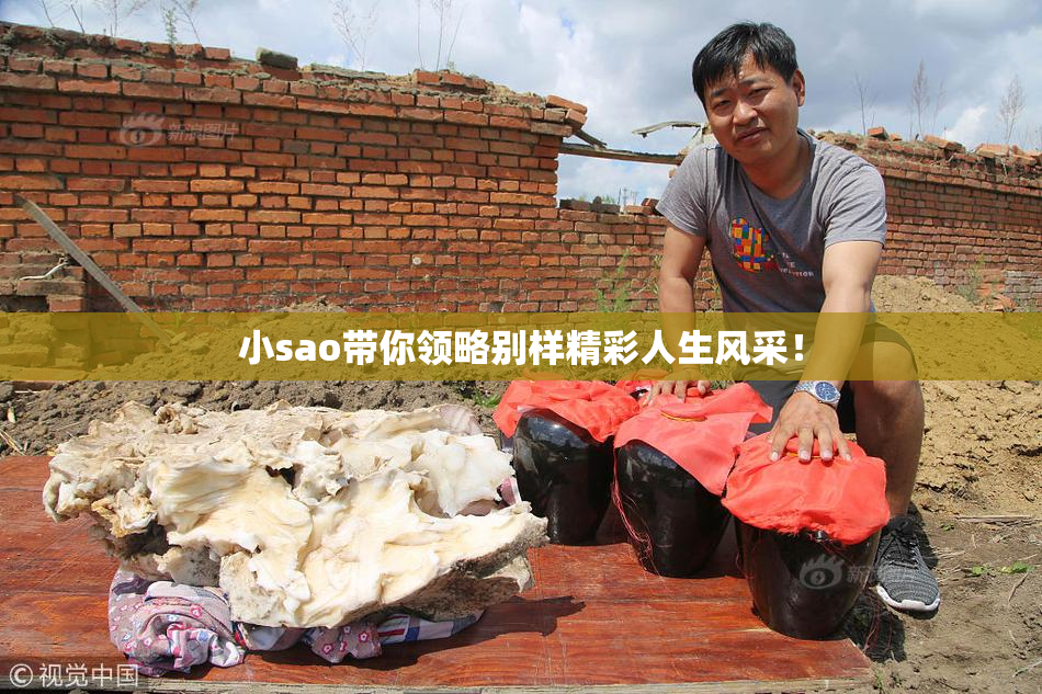 小sao带你领略别样精彩人生风采！