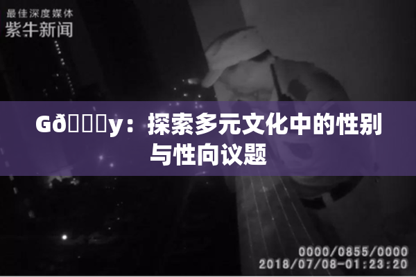 G🈚y：探索多元文化中的性别与性向议题