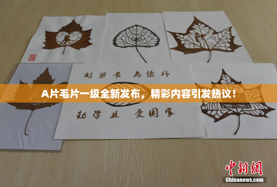 A片毛片一级全新发布，精彩内容引发热议！