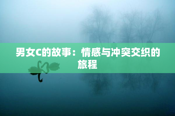 男女C的故事：情感与冲突交织的旅程