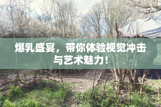 爆乳盛宴，带你体验视觉冲击与艺术魅力！
