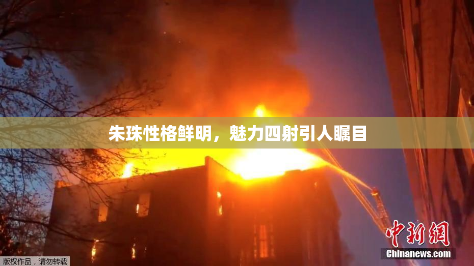朱珠性格鲜明，魅力四射引人瞩目