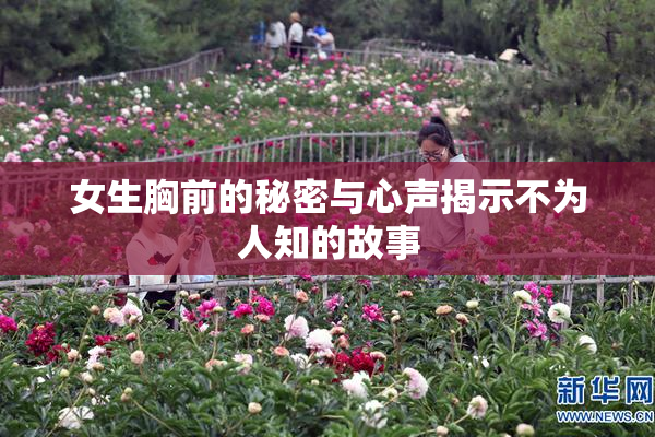 女生胸前的秘密与心声揭示不为人知的故事