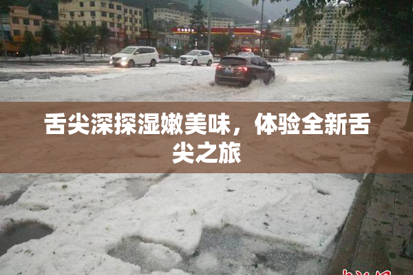 舌尖深探湿嫩美味，体验全新舌尖之旅