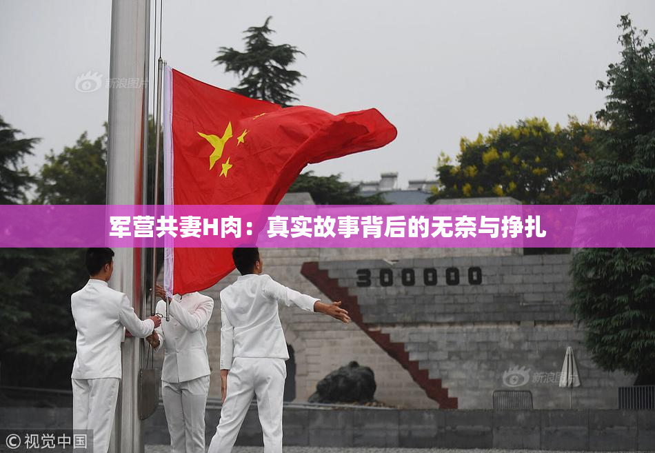 军营共妻H肉：真实故事背后的无奈与挣扎