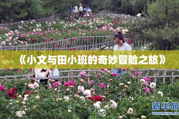 《小文与田小班的奇妙冒险之旅》
