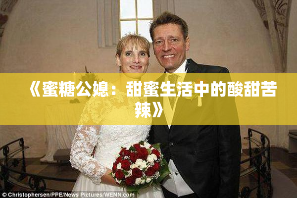 《蜜糖公媳：甜蜜生活中的酸甜苦辣》