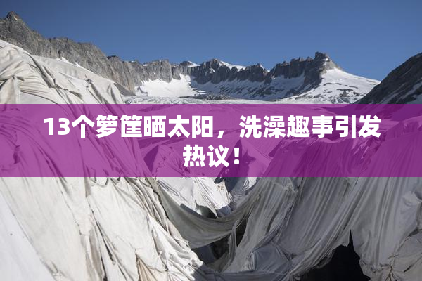 13个箩筐晒太阳，洗澡趣事引发热议！