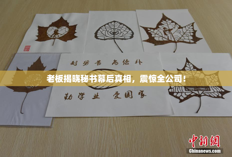 老板揭晓秘书幕后真相，震惊全公司！