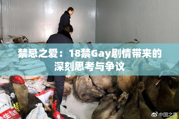 禁忌之爱：18禁Gay剧情带来的深刻思考与争议