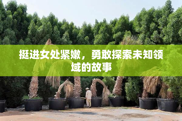 挺进女处紧嫩，勇敢探索未知领域的故事