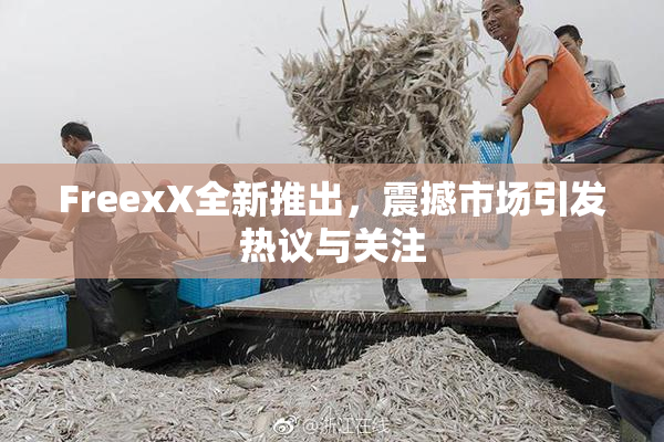 FreexX全新推出，震撼市场引发热议与关注