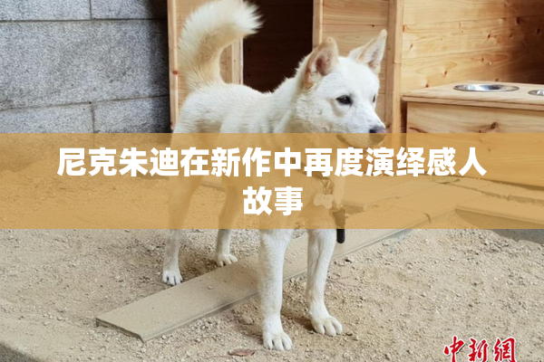 尼克朱迪在新作中再度演绎感人故事