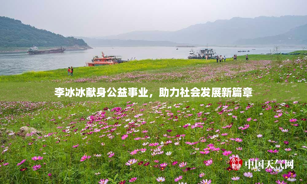 李冰冰献身公益事业，助力社会发展新篇章