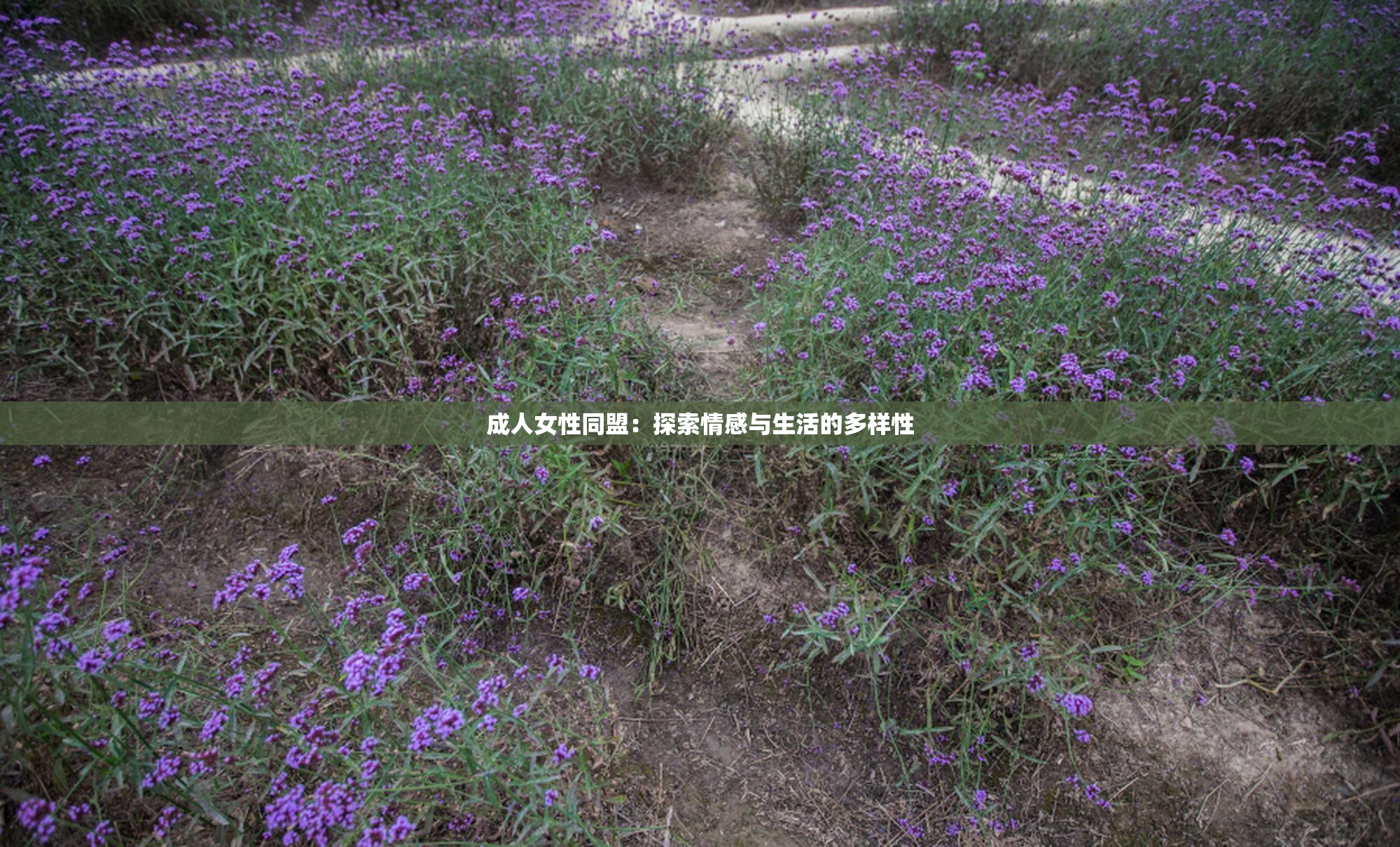 成人女性同盟：探索情感与生活的多样性