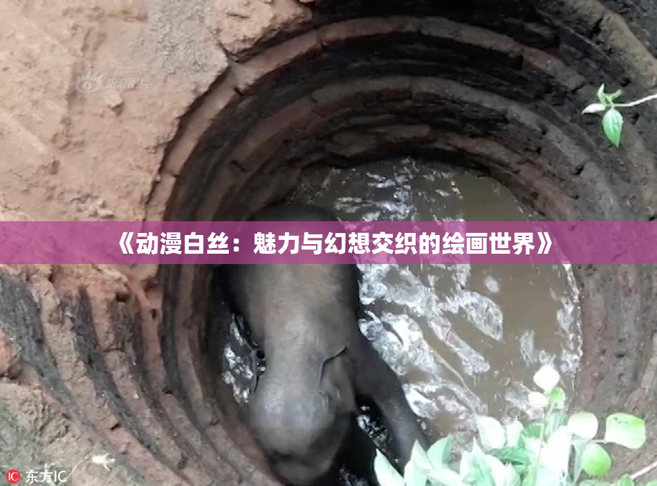 《动漫白丝：魅力与幻想交织的绘画世界》